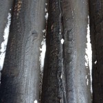 mogila_arson_03